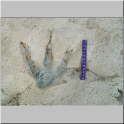 100_0347 (2009-25-07)m.JPG